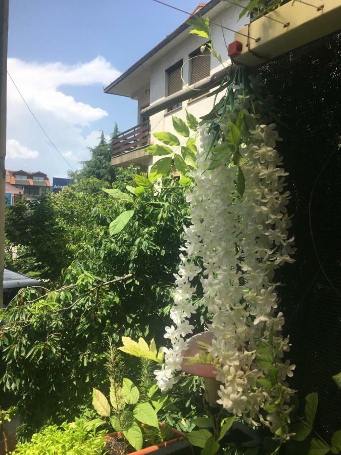 Ani Apartment Ohri Dış mekan fotoğraf